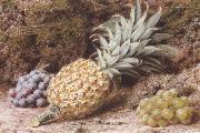John Sherrin A Pineapple and Grapes on a mossy Bank (mk37) oil on canvas